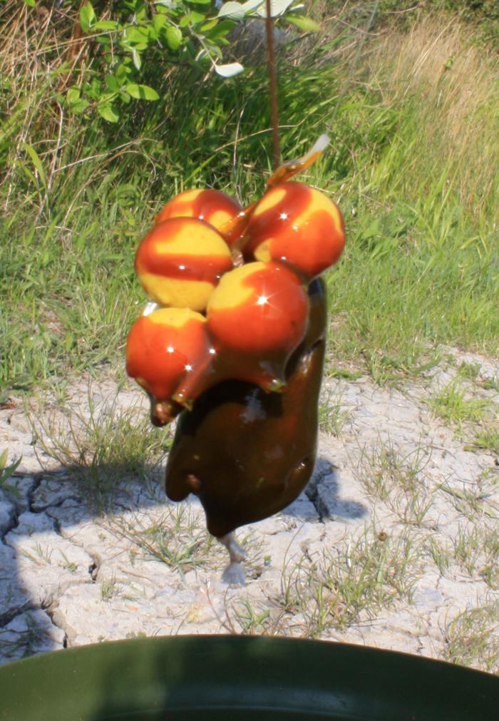 Diverse - img7733.jpg